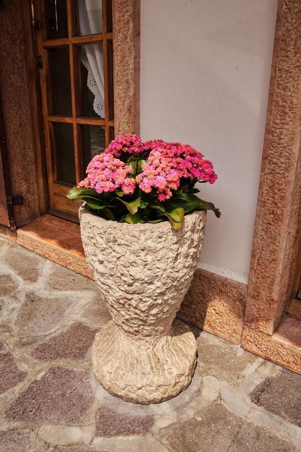 Ad Sidera Bed & Breakfast Pastrengo Exterior foto
